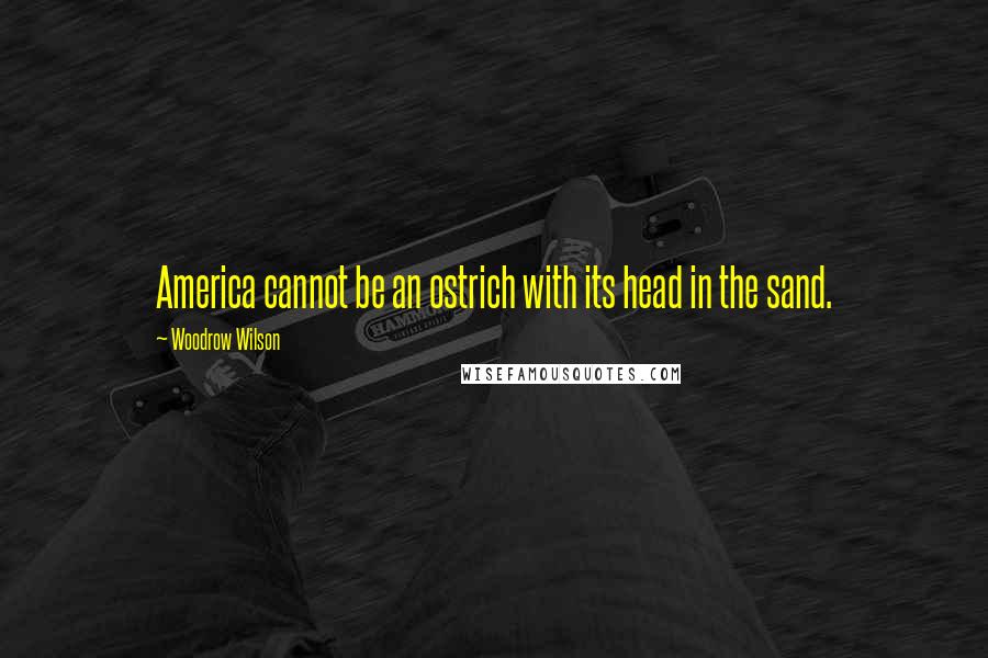 Woodrow Wilson Quotes: America cannot be an ostrich with its head in the sand.