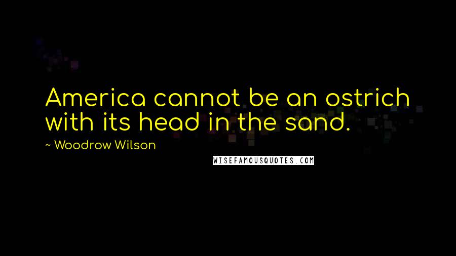 Woodrow Wilson Quotes: America cannot be an ostrich with its head in the sand.