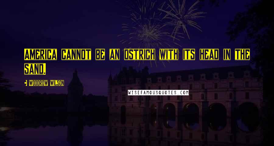 Woodrow Wilson Quotes: America cannot be an ostrich with its head in the sand.