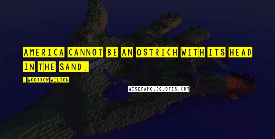 Woodrow Wilson Quotes: America cannot be an ostrich with its head in the sand.