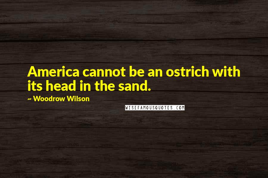 Woodrow Wilson Quotes: America cannot be an ostrich with its head in the sand.