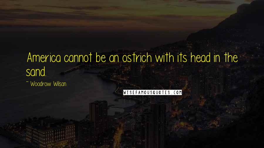 Woodrow Wilson Quotes: America cannot be an ostrich with its head in the sand.