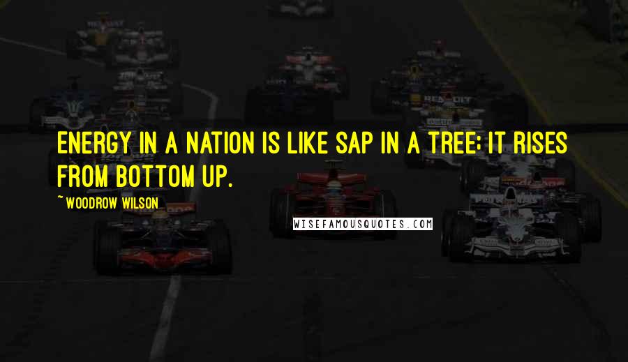 Woodrow Wilson Quotes: Energy in a nation is like sap in a tree; it rises from bottom up.