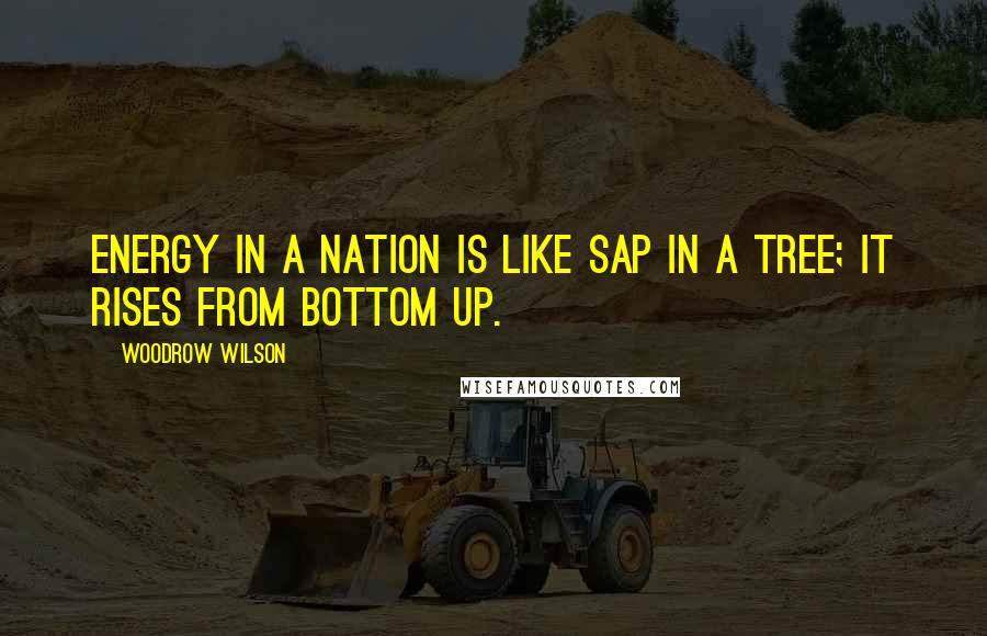 Woodrow Wilson Quotes: Energy in a nation is like sap in a tree; it rises from bottom up.