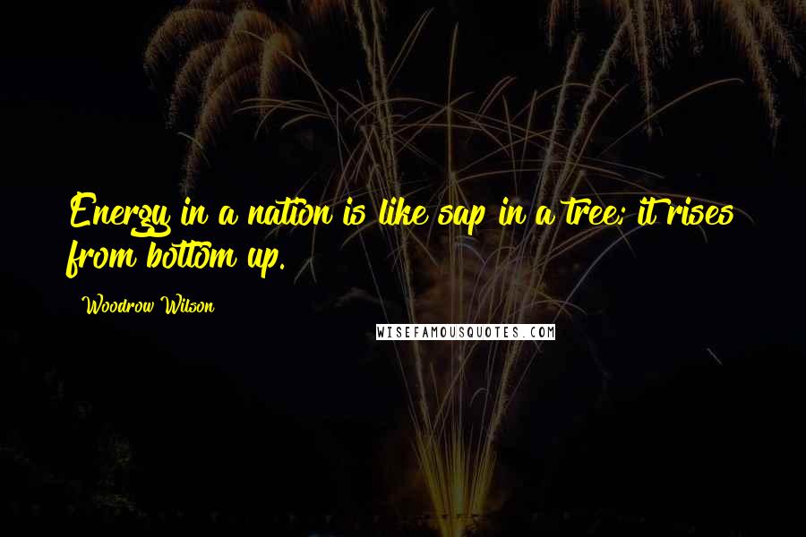 Woodrow Wilson Quotes: Energy in a nation is like sap in a tree; it rises from bottom up.