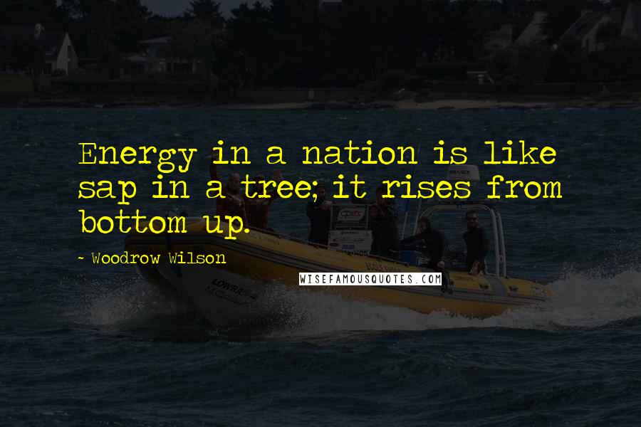 Woodrow Wilson Quotes: Energy in a nation is like sap in a tree; it rises from bottom up.