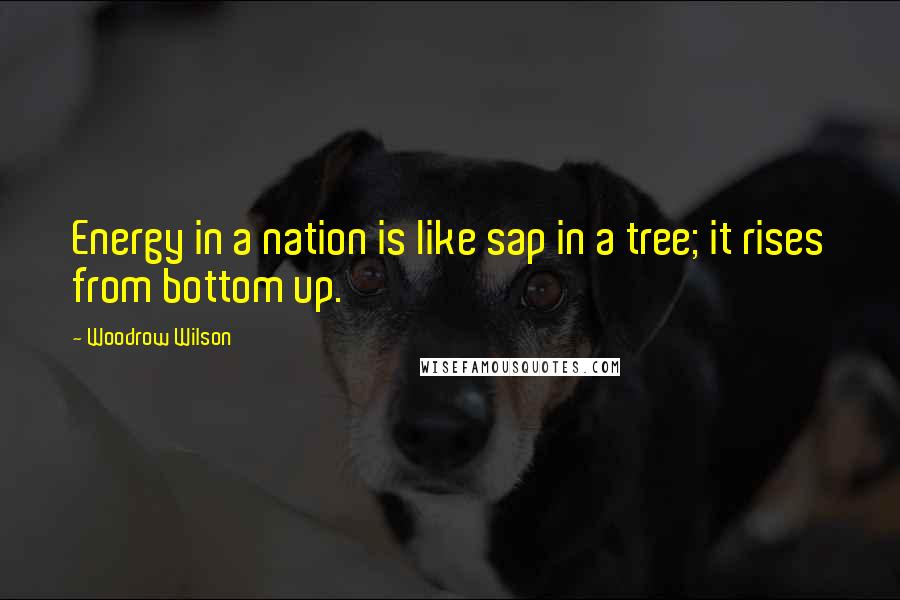 Woodrow Wilson Quotes: Energy in a nation is like sap in a tree; it rises from bottom up.