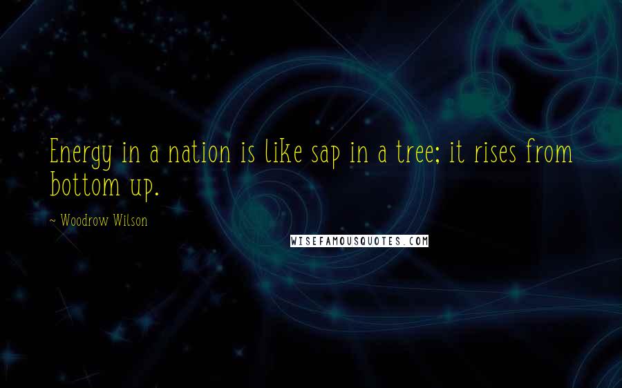 Woodrow Wilson Quotes: Energy in a nation is like sap in a tree; it rises from bottom up.