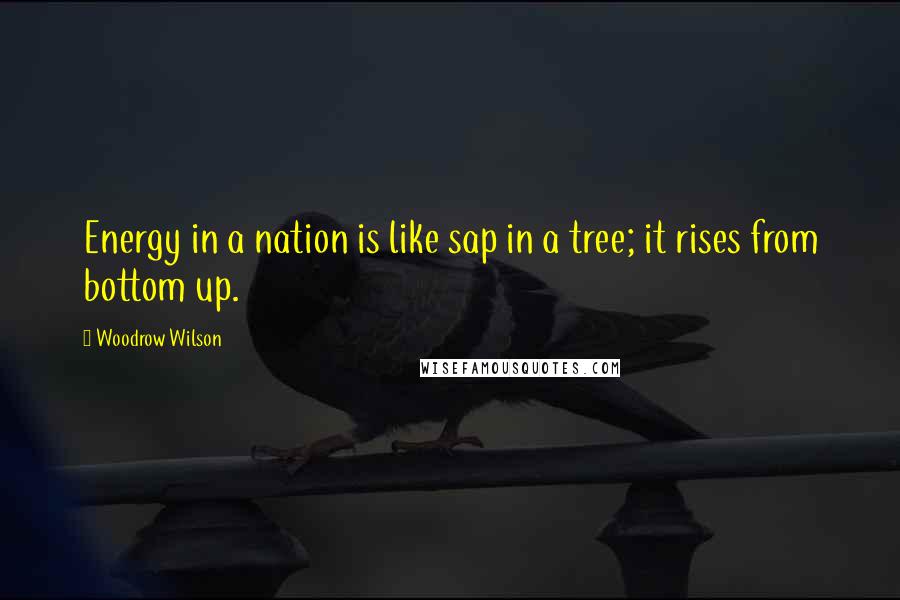 Woodrow Wilson Quotes: Energy in a nation is like sap in a tree; it rises from bottom up.