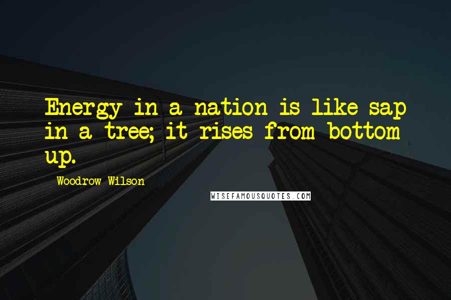Woodrow Wilson Quotes: Energy in a nation is like sap in a tree; it rises from bottom up.