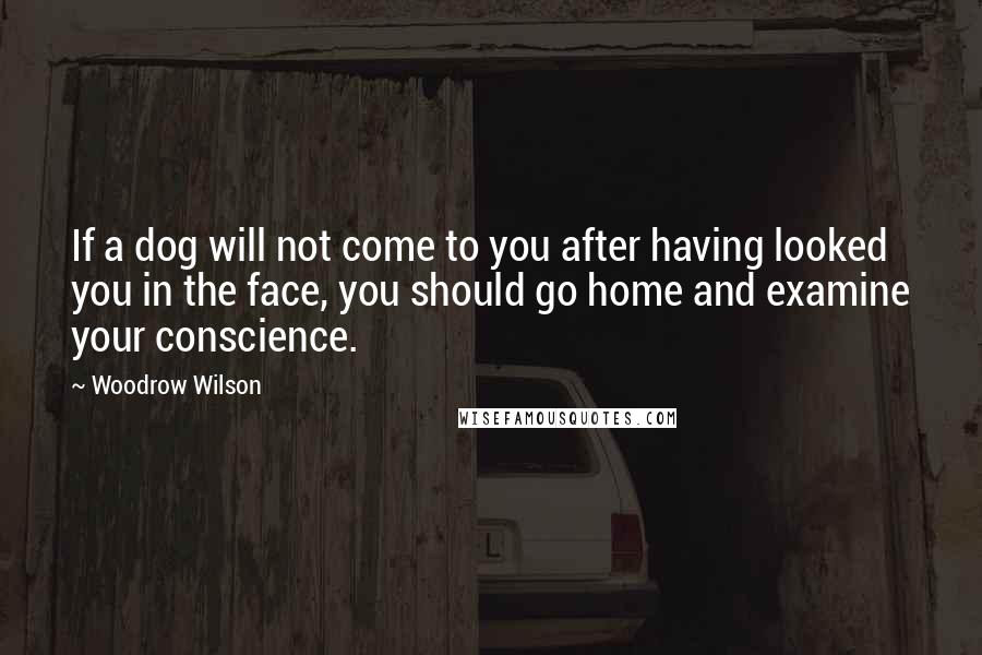 Woodrow Wilson Quotes: If a dog will not come to you after having looked you in the face, you should go home and examine your conscience.