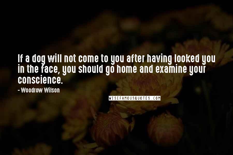 Woodrow Wilson Quotes: If a dog will not come to you after having looked you in the face, you should go home and examine your conscience.