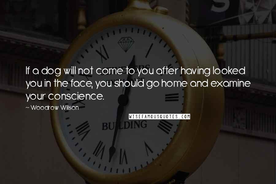 Woodrow Wilson Quotes: If a dog will not come to you after having looked you in the face, you should go home and examine your conscience.