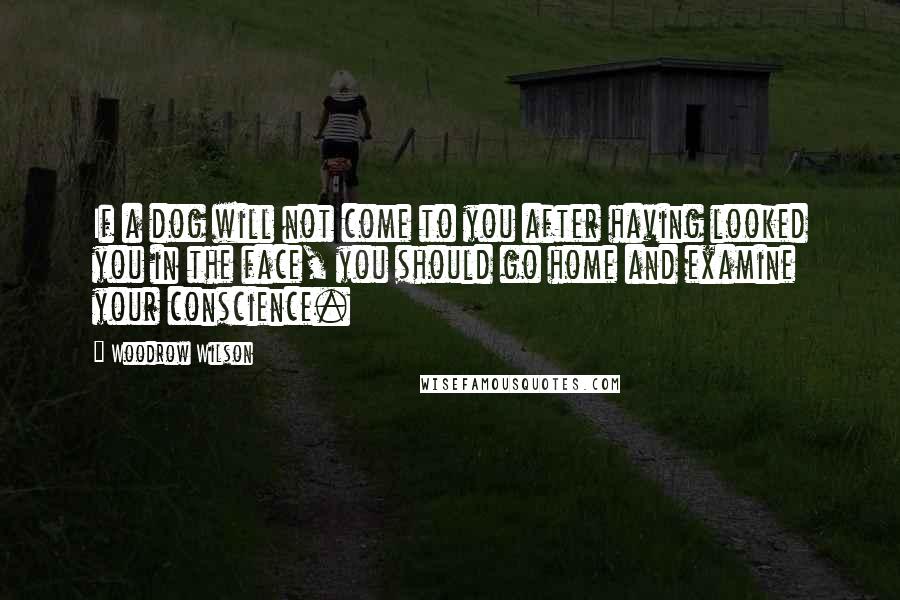 Woodrow Wilson Quotes: If a dog will not come to you after having looked you in the face, you should go home and examine your conscience.