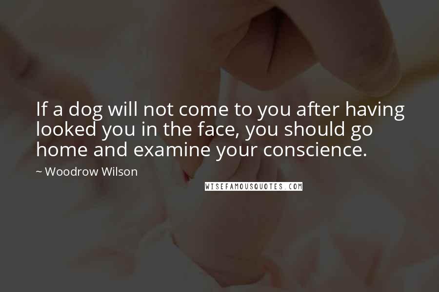 Woodrow Wilson Quotes: If a dog will not come to you after having looked you in the face, you should go home and examine your conscience.