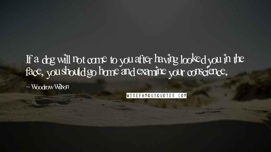 Woodrow Wilson Quotes: If a dog will not come to you after having looked you in the face, you should go home and examine your conscience.