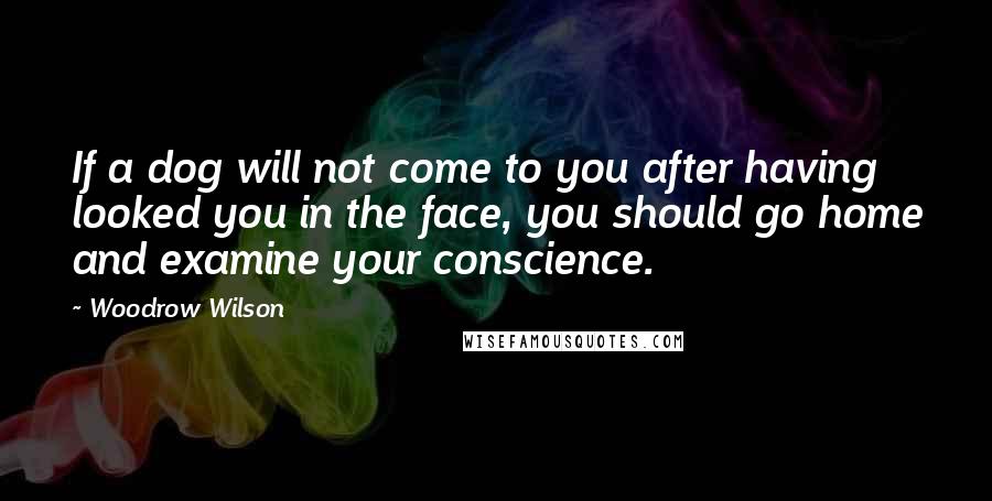 Woodrow Wilson Quotes: If a dog will not come to you after having looked you in the face, you should go home and examine your conscience.