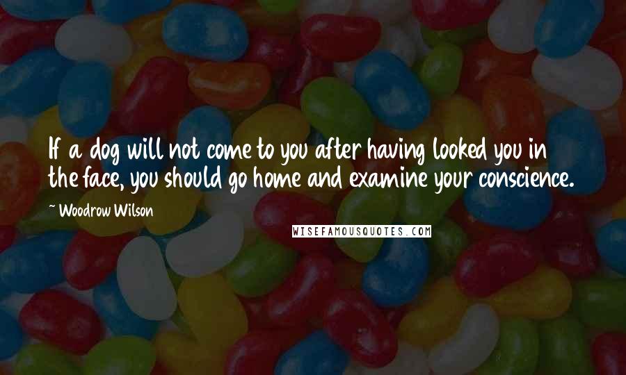 Woodrow Wilson Quotes: If a dog will not come to you after having looked you in the face, you should go home and examine your conscience.