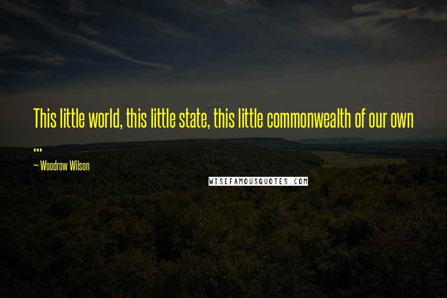 Woodrow Wilson Quotes: This little world, this little state, this little commonwealth of our own ...