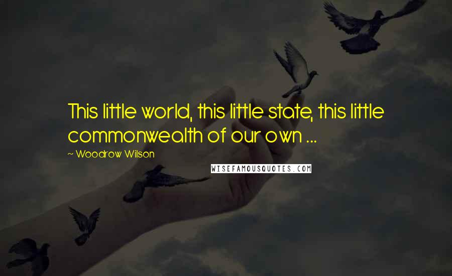 Woodrow Wilson Quotes: This little world, this little state, this little commonwealth of our own ...