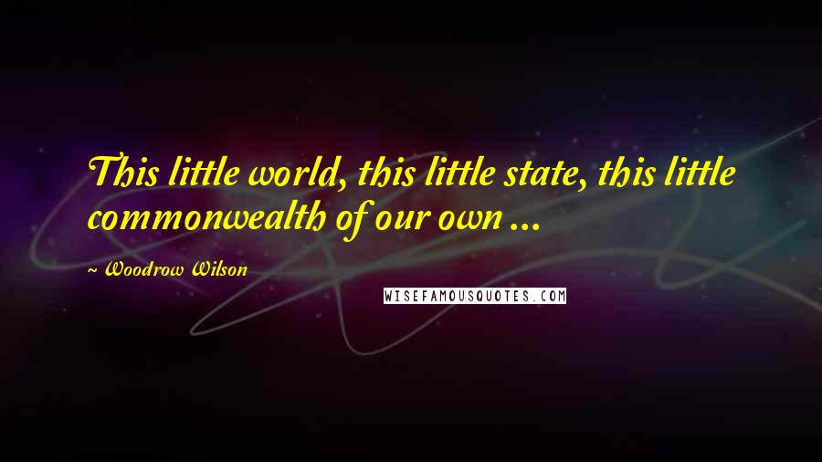Woodrow Wilson Quotes: This little world, this little state, this little commonwealth of our own ...