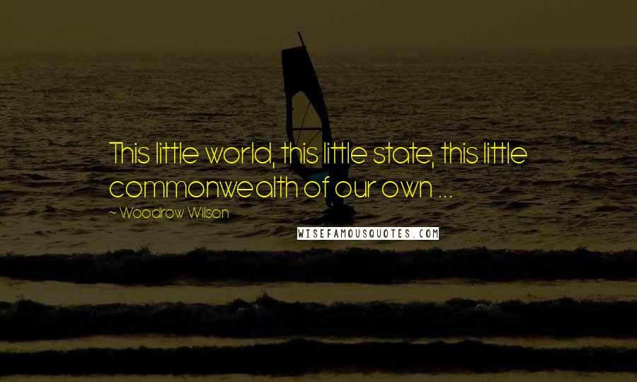 Woodrow Wilson Quotes: This little world, this little state, this little commonwealth of our own ...