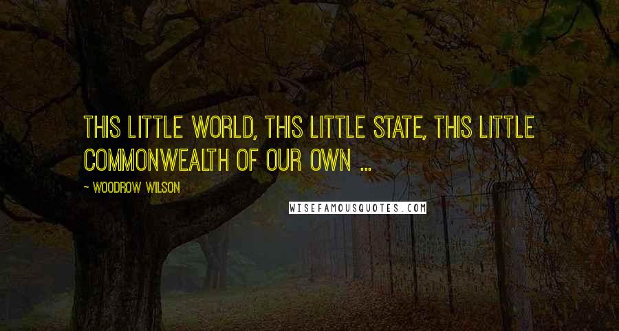 Woodrow Wilson Quotes: This little world, this little state, this little commonwealth of our own ...