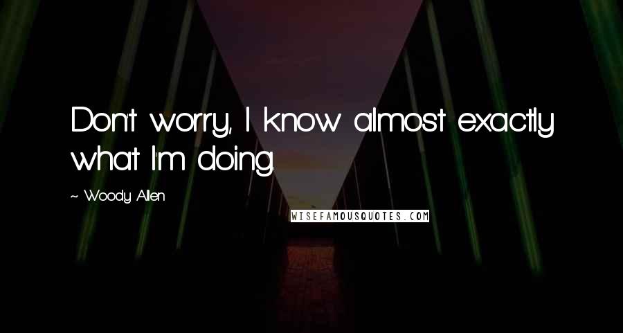 Woody Allen Quotes: Don't worry, I know almost exactly what I'm doing.