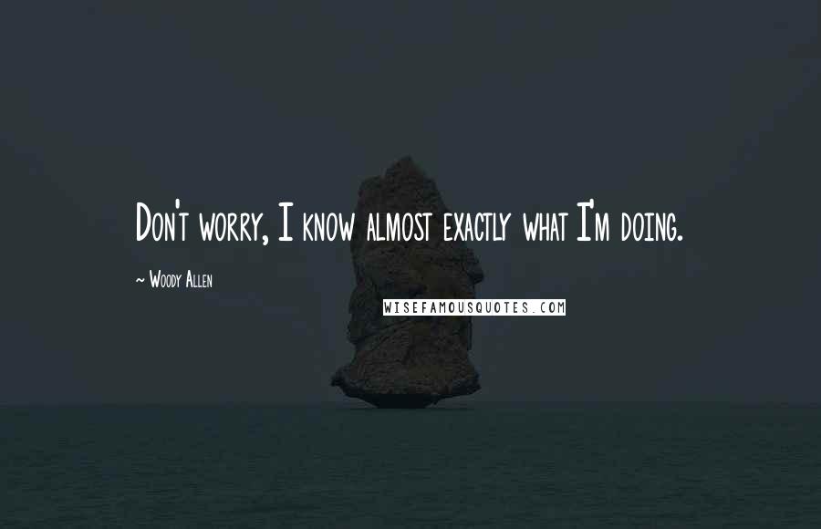 Woody Allen Quotes: Don't worry, I know almost exactly what I'm doing.