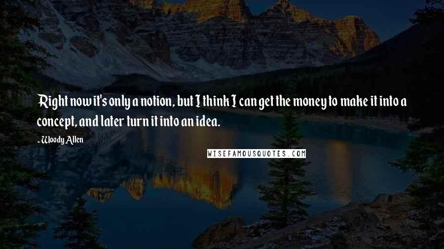 Woody Allen Quotes: Right now it's only a notion, but I think I can get the money to make it into a concept, and later turn it into an idea.