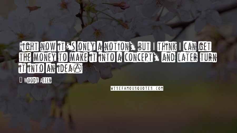 Woody Allen Quotes: Right now it's only a notion, but I think I can get the money to make it into a concept, and later turn it into an idea.