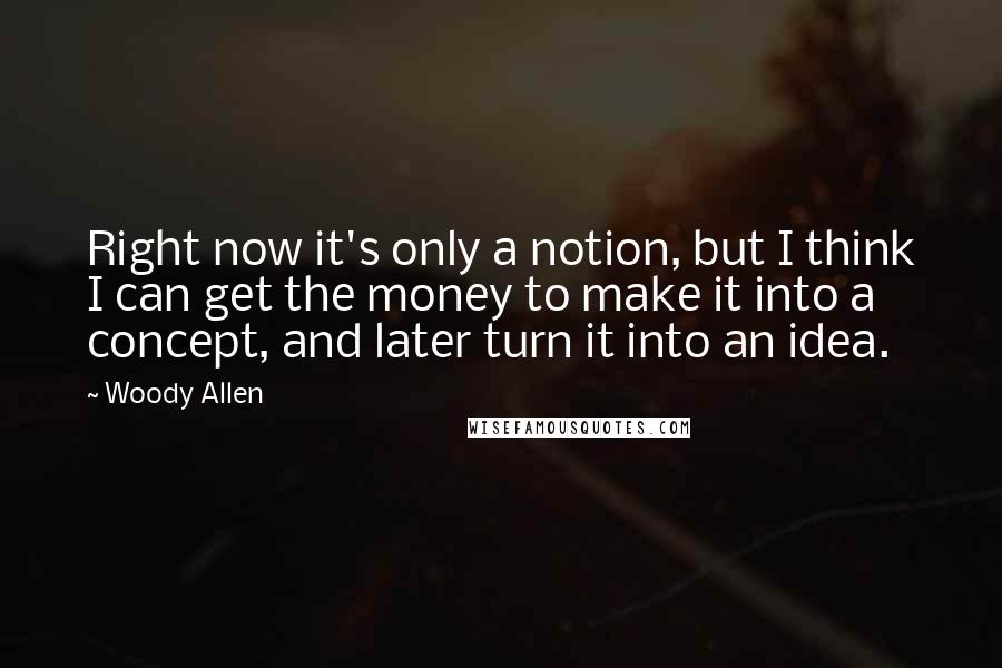 Woody Allen Quotes: Right now it's only a notion, but I think I can get the money to make it into a concept, and later turn it into an idea.