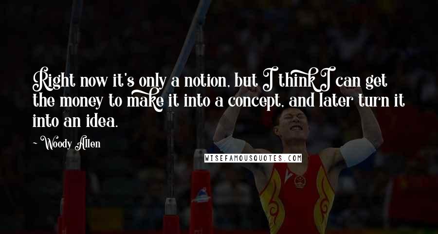Woody Allen Quotes: Right now it's only a notion, but I think I can get the money to make it into a concept, and later turn it into an idea.