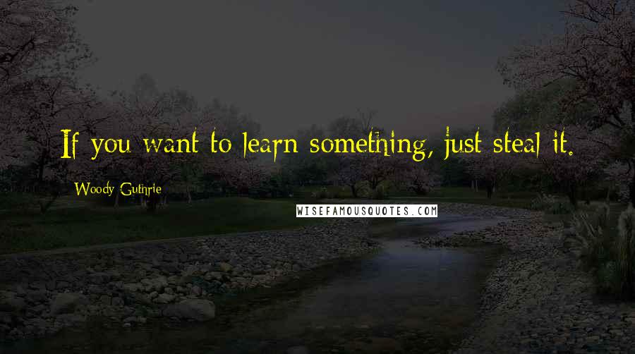 Woody Guthrie Quotes: If you want to learn something, just steal it.