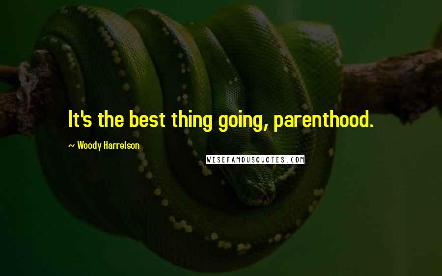 Woody Harrelson Quotes: It's the best thing going, parenthood.