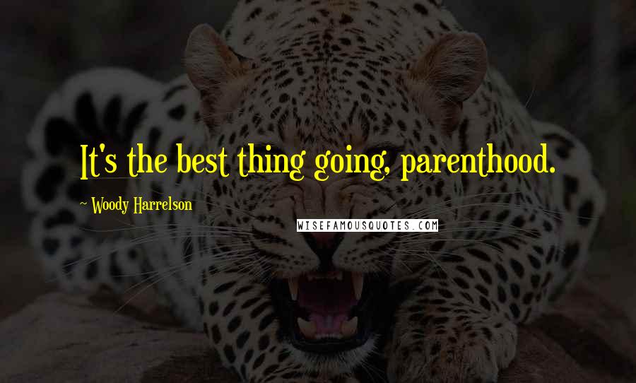 Woody Harrelson Quotes: It's the best thing going, parenthood.