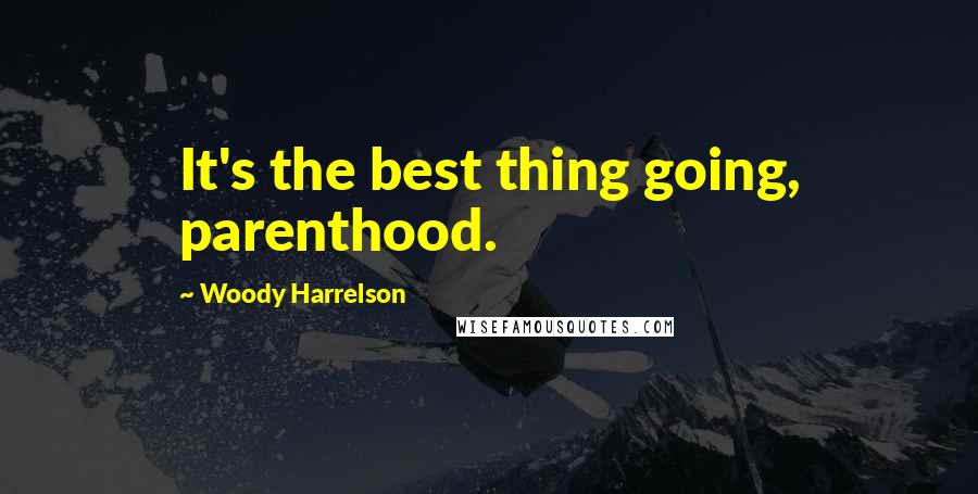 Woody Harrelson Quotes: It's the best thing going, parenthood.