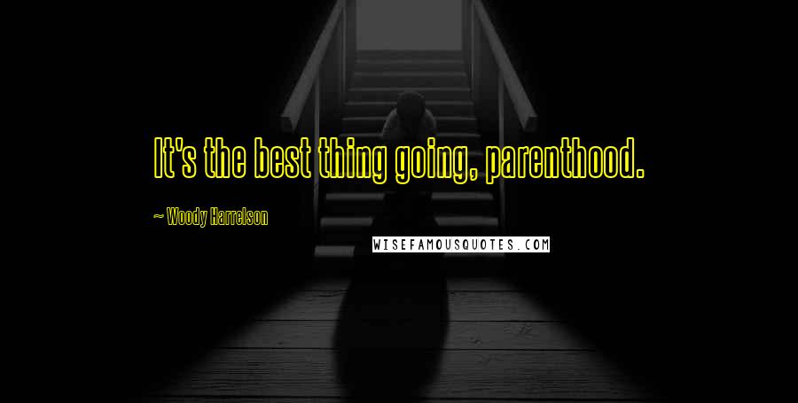 Woody Harrelson Quotes: It's the best thing going, parenthood.