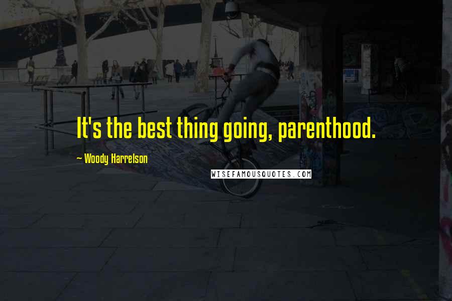 Woody Harrelson Quotes: It's the best thing going, parenthood.