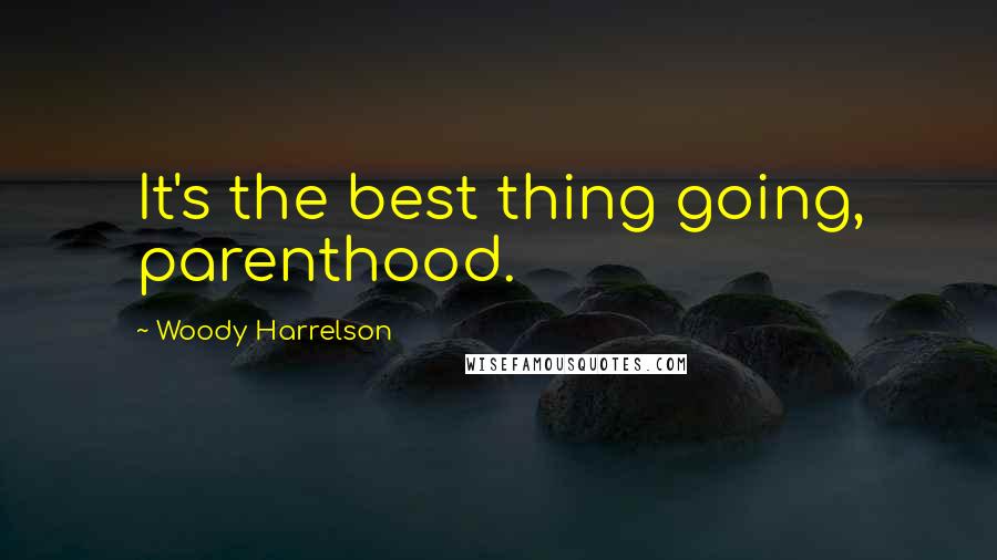 Woody Harrelson Quotes: It's the best thing going, parenthood.