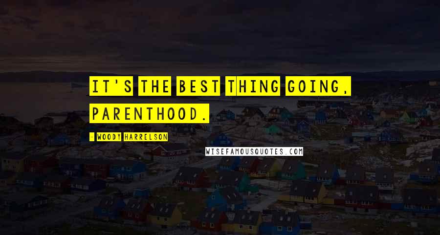 Woody Harrelson Quotes: It's the best thing going, parenthood.