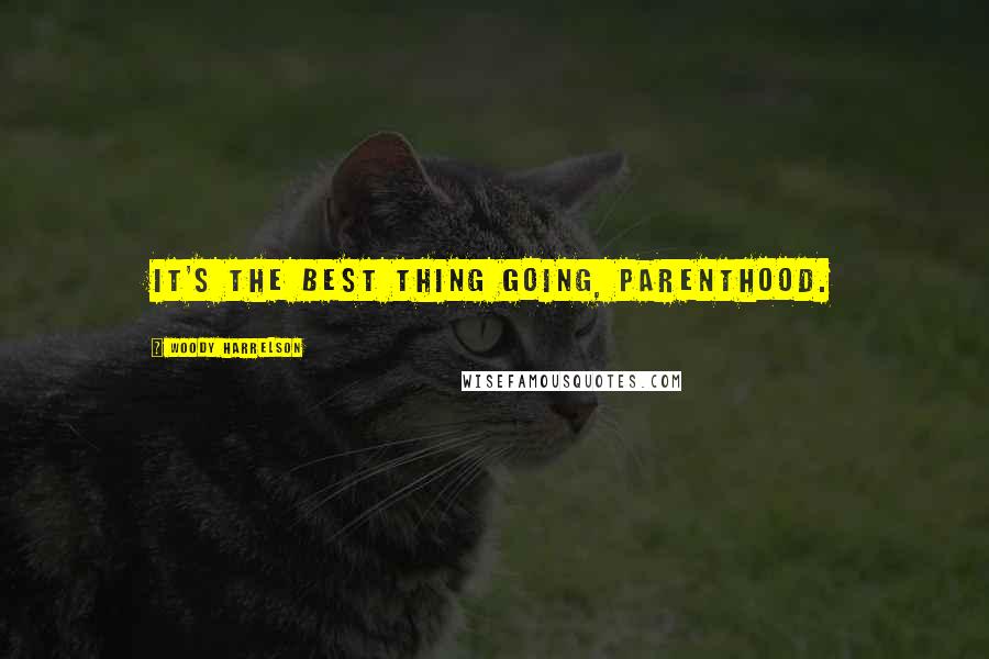 Woody Harrelson Quotes: It's the best thing going, parenthood.