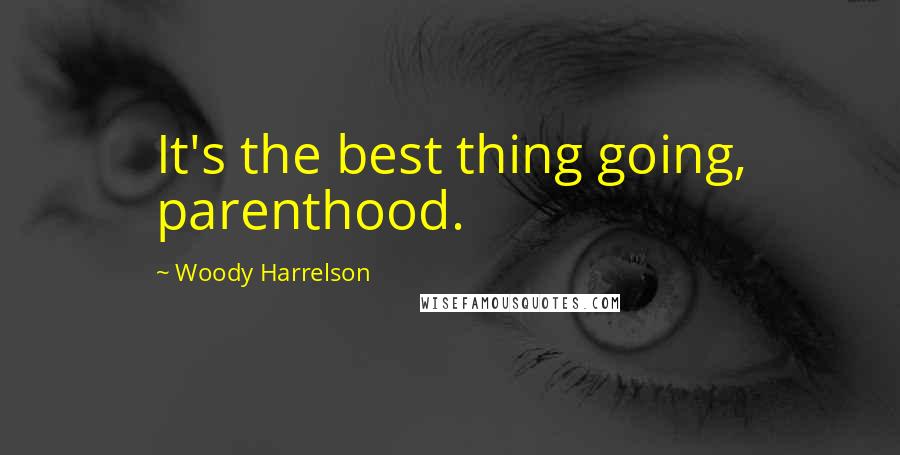 Woody Harrelson Quotes: It's the best thing going, parenthood.