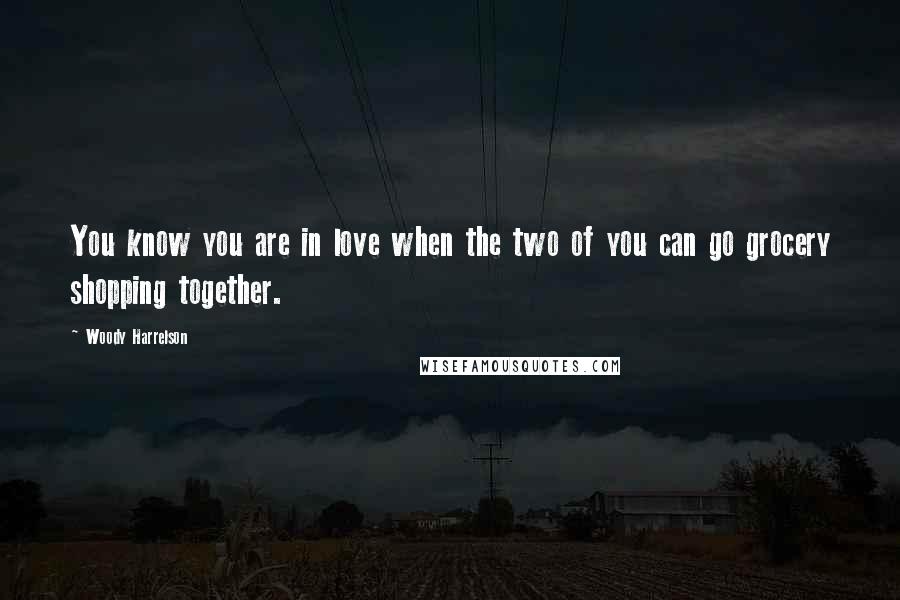 Woody Harrelson Quotes: You know you are in love when the two of you can go grocery shopping together.