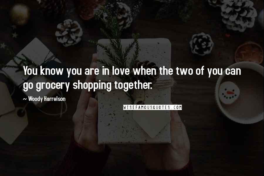 Woody Harrelson Quotes: You know you are in love when the two of you can go grocery shopping together.