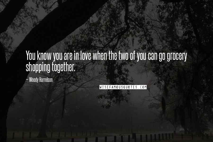 Woody Harrelson Quotes: You know you are in love when the two of you can go grocery shopping together.