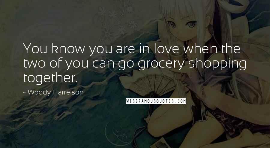 Woody Harrelson Quotes: You know you are in love when the two of you can go grocery shopping together.