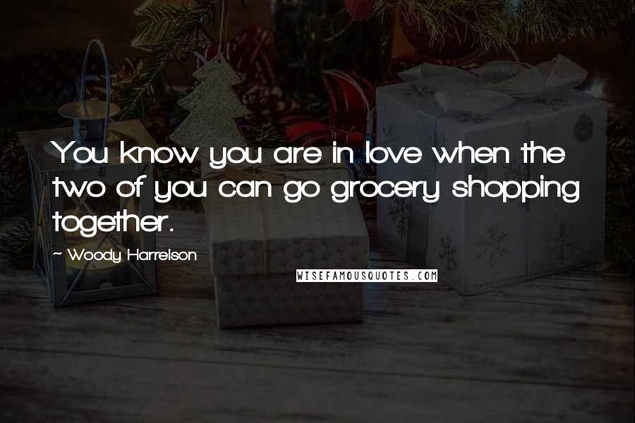 Woody Harrelson Quotes: You know you are in love when the two of you can go grocery shopping together.