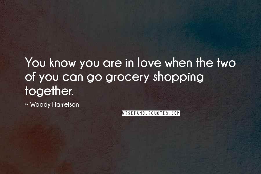 Woody Harrelson Quotes: You know you are in love when the two of you can go grocery shopping together.