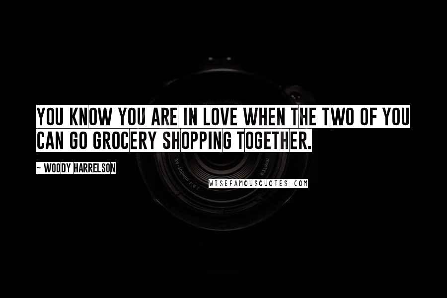 Woody Harrelson Quotes: You know you are in love when the two of you can go grocery shopping together.